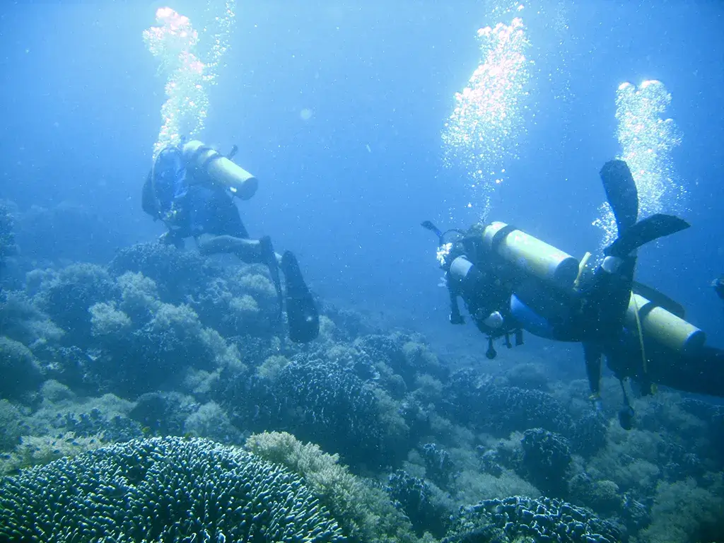tauchversicherungen.de - Diveprotect Taucherschutz